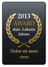 2013 AWARD  duis  Laboris labore  Dolor sit amet xxxx Dolor sit amet xxxx